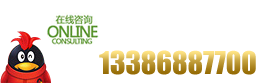 13386887700